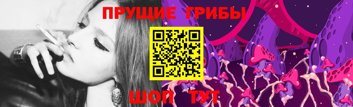 Галлюциногенные грибы Psilocybine cubensis Курчалой