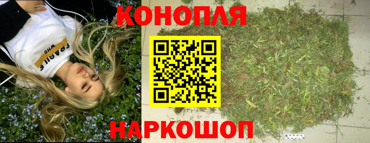 Курчалой  Бошки Шишки семена  Конопля сатива  Вход с VPN  Канабис MAZAR 